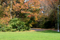 Prospect Park, Bklyn. N.Y.