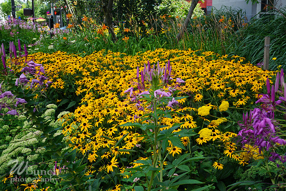 Green Mountains Suites, Waterfront Park,Church Street, Burlington, Vt. 7-30-20, WBunchphotography (227)