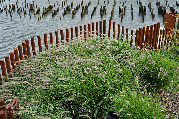 Little Island at Hudson River Park - 08-15-21, By Wbunchphotography (147)