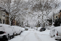 Macon Street, Bklyn. New York