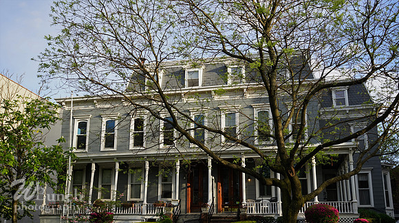 Decatur St.,Macdonough St. & Macon - Bklyn. N.Y. 05-07-20 - WBunchohotography  (30)