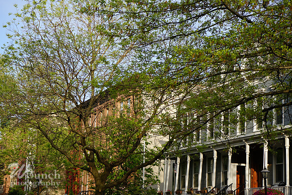 Decatur St.,Macdonough St. & Macon - Bklyn. N.Y. 05-07-20 - WBunchohotography  (34)