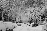 Macdonough Street, Bklyn. New York