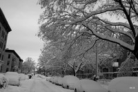 Macdonough Street, Blkyn. New York