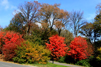 Prospect Park, Bklyn. N.Y.