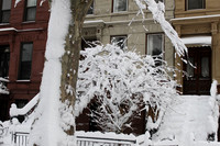 Macdonough Street, Bklyn. New York
