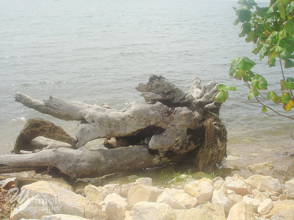 Punto Gordo, Belize