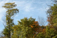 NYS Thurway North