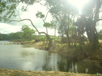 Crossing bridge in Belize....washed out the next day